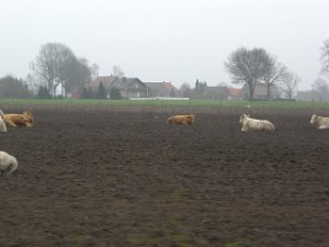 RTF Aschen.2009 025